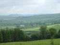 Self-catering holiday cottage - Penyrallt Fach Cottage, Pentre-cwrt, Llandysul, Carmarthenshire, Wales